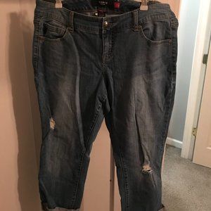 Denim Capris Distressed
